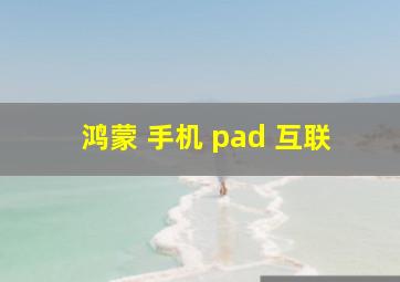 鸿蒙 手机 pad 互联